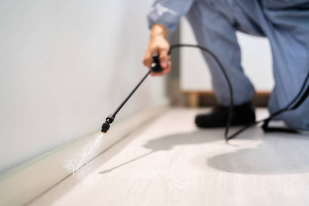 Licensed Fumigation Services service in Ector County County, TX - Nex Pest Control